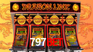 Interface Premium 797bet